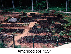 Amended soil 1994