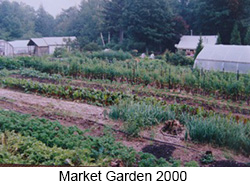 Market Garden 2000